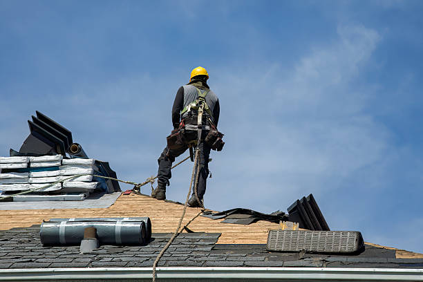 Professional Gutter Installation technician working in Bonanza, GA